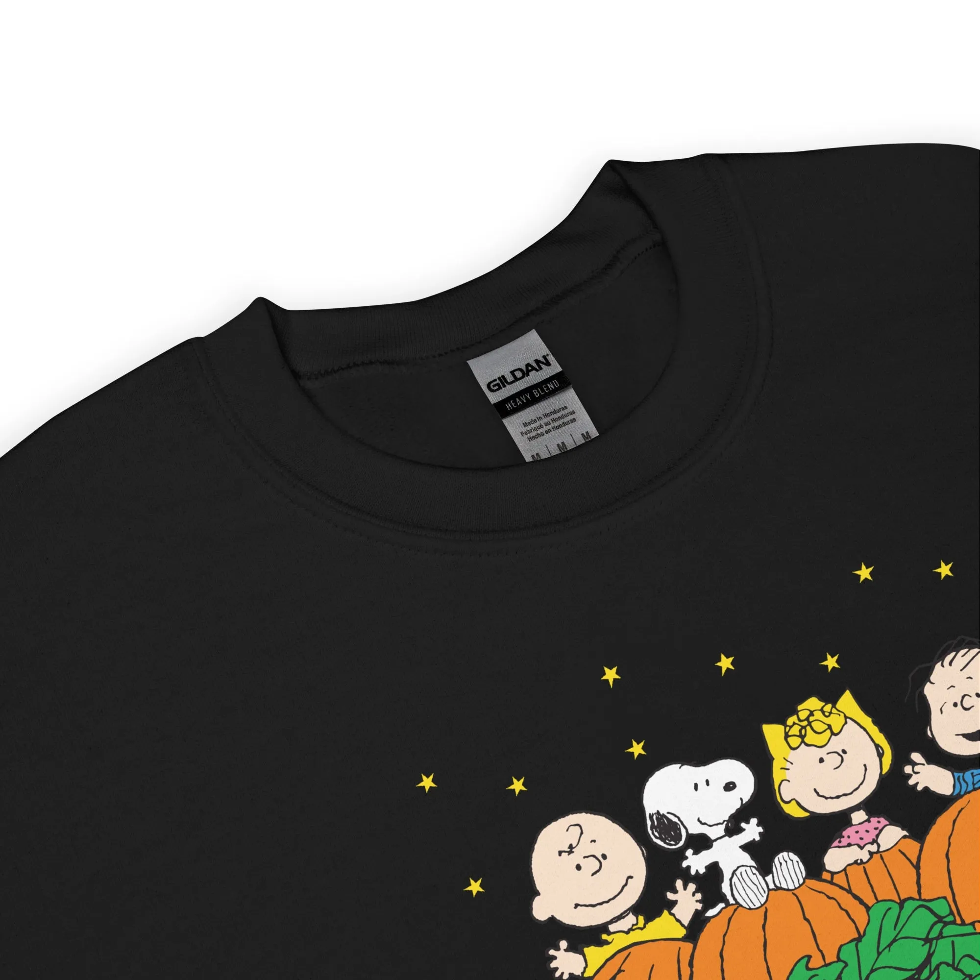 Peanuts Gang Pumpkin Patch Adult Sweatshirt