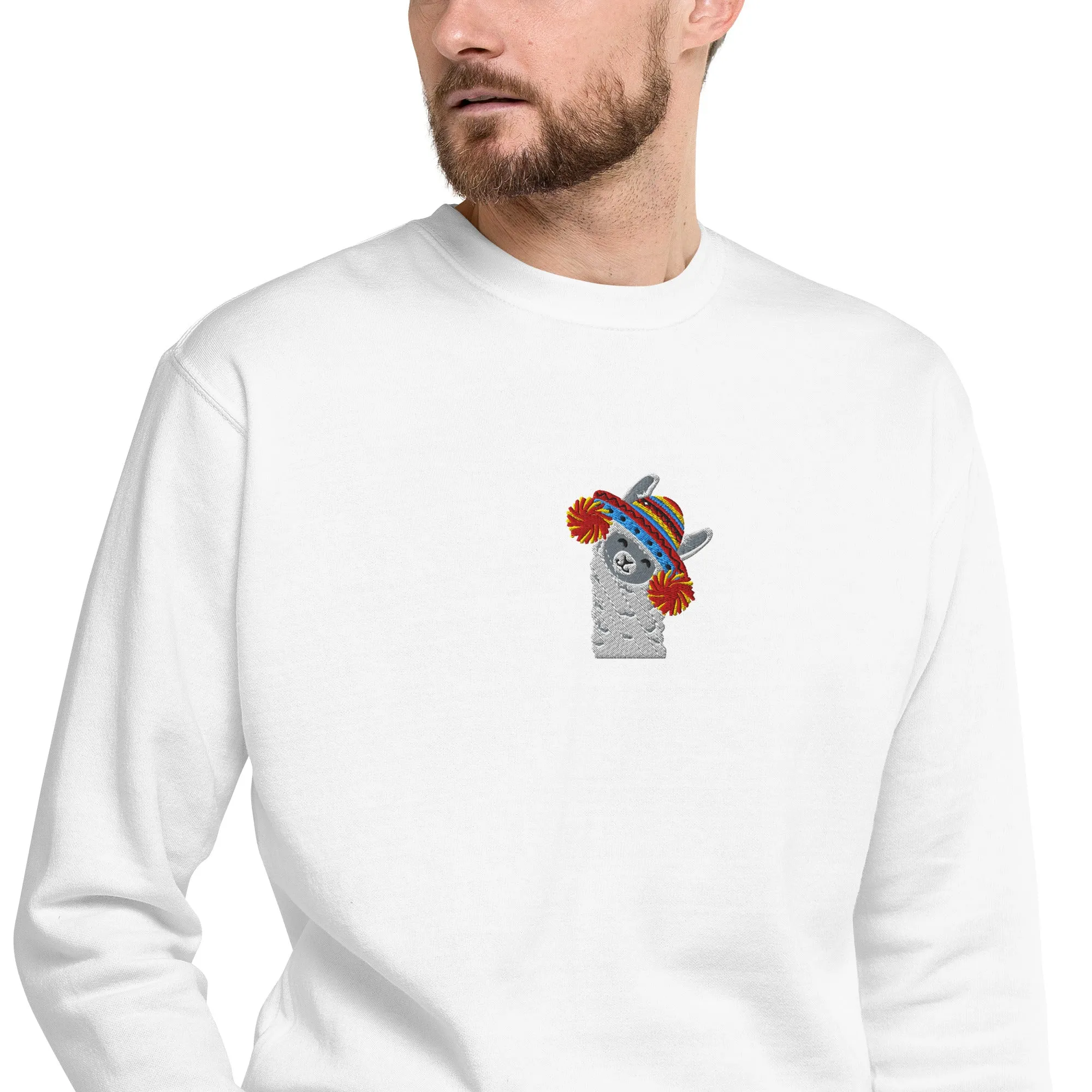 Peruvian Alpaca Embroidered Sweatshirt
