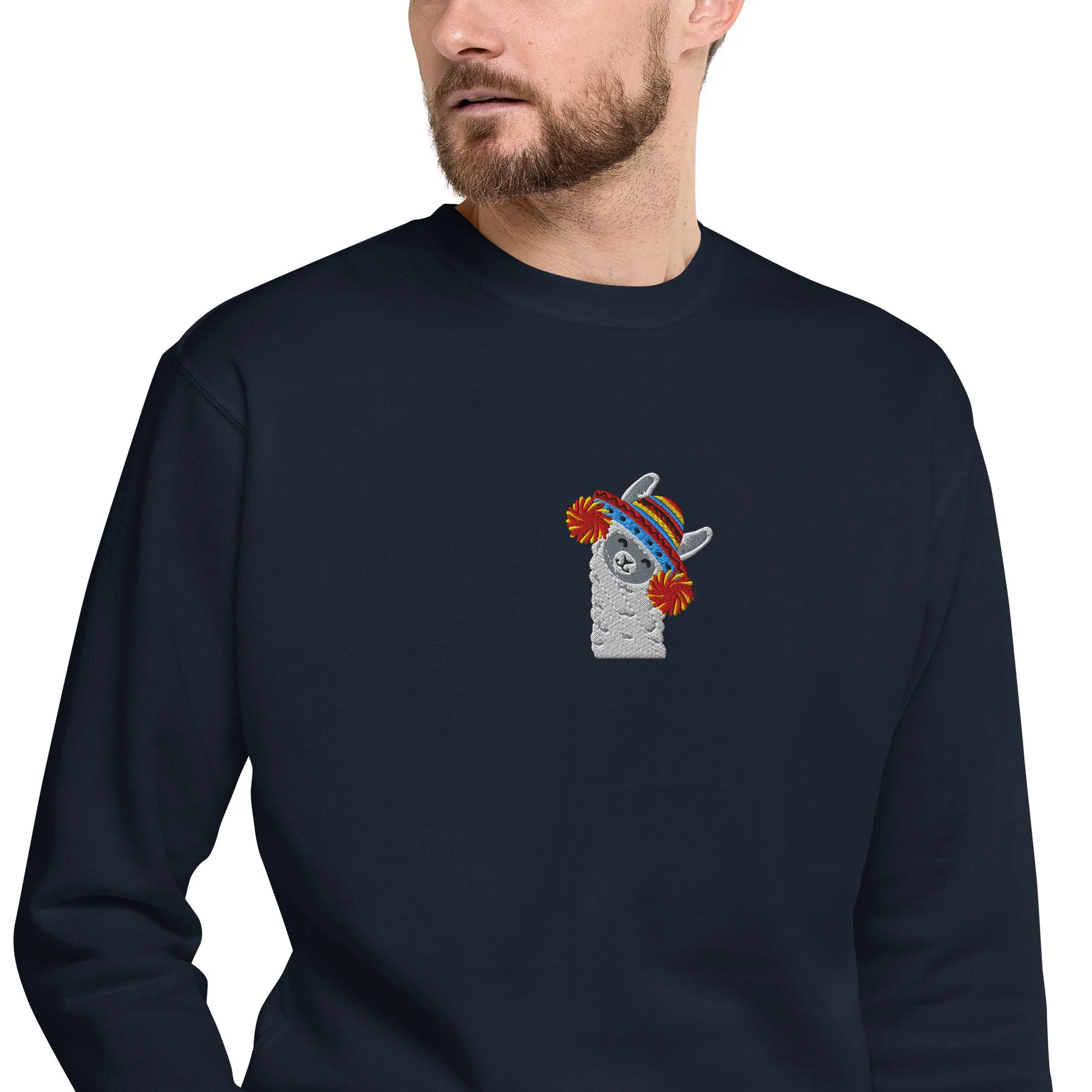 Peruvian Alpaca Embroidered Sweatshirt