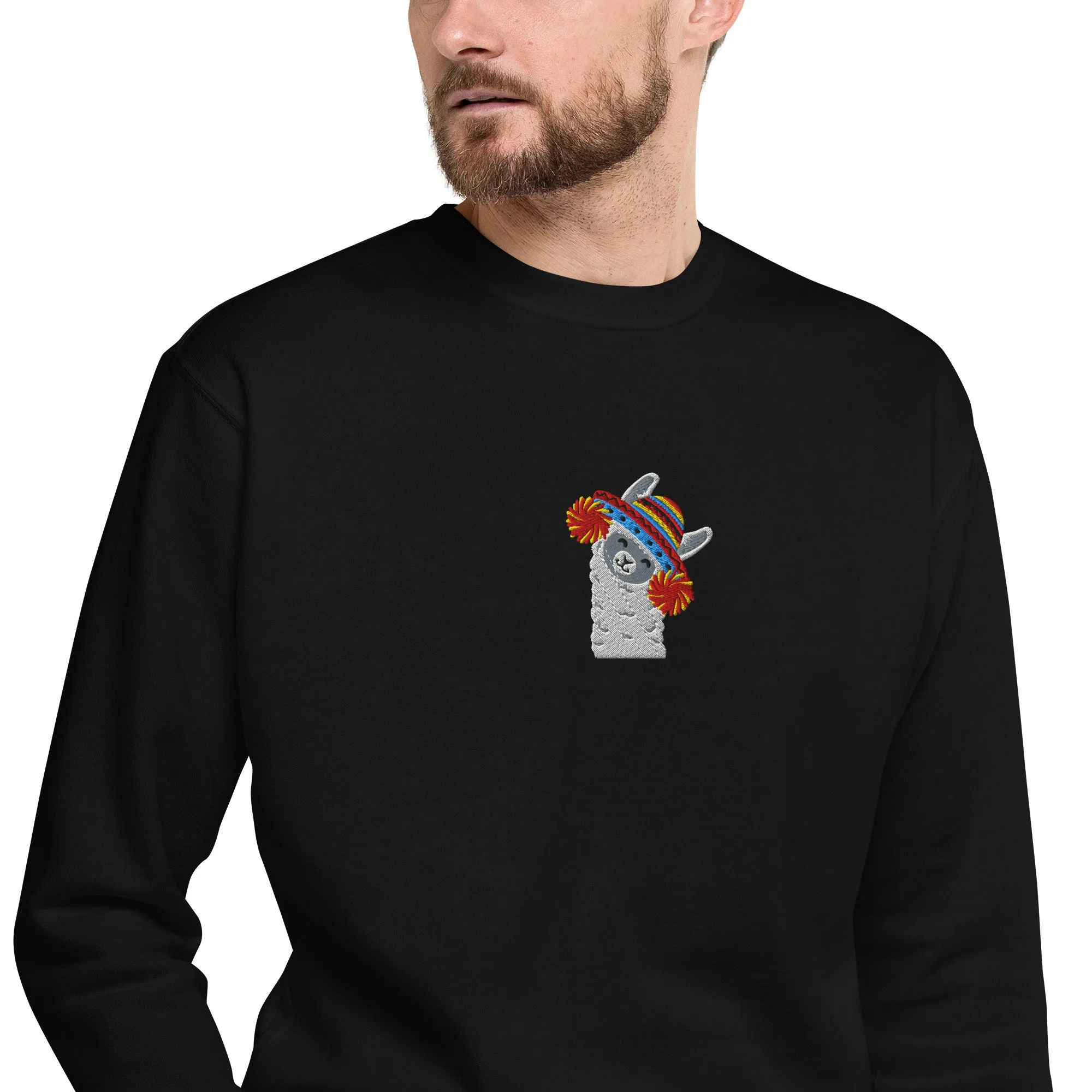 Peruvian Alpaca Embroidered Sweatshirt