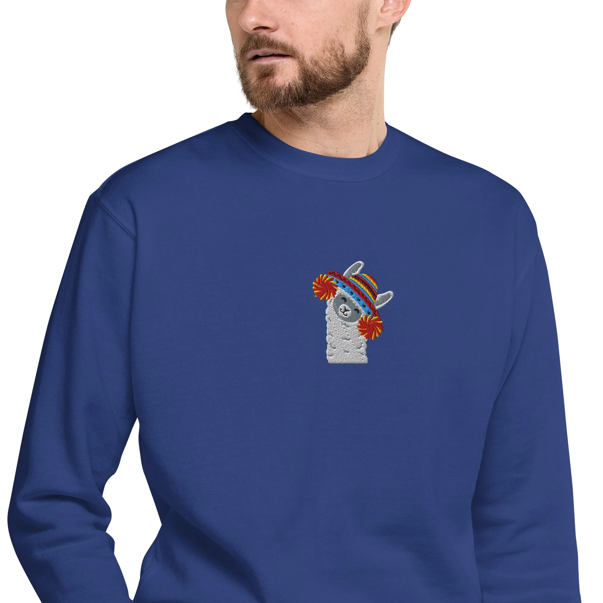 Peruvian Alpaca Embroidered Sweatshirt