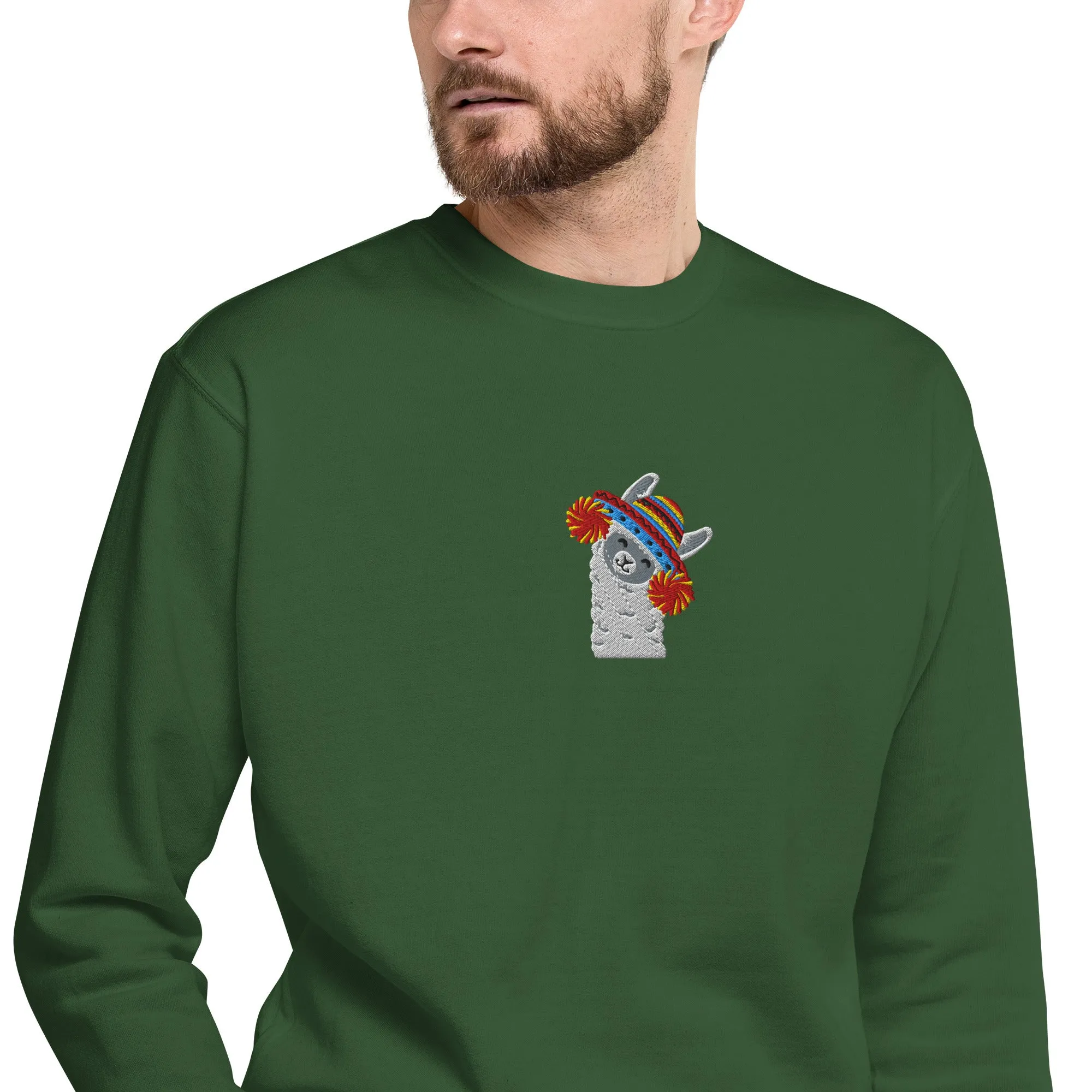 Peruvian Alpaca Embroidered Sweatshirt
