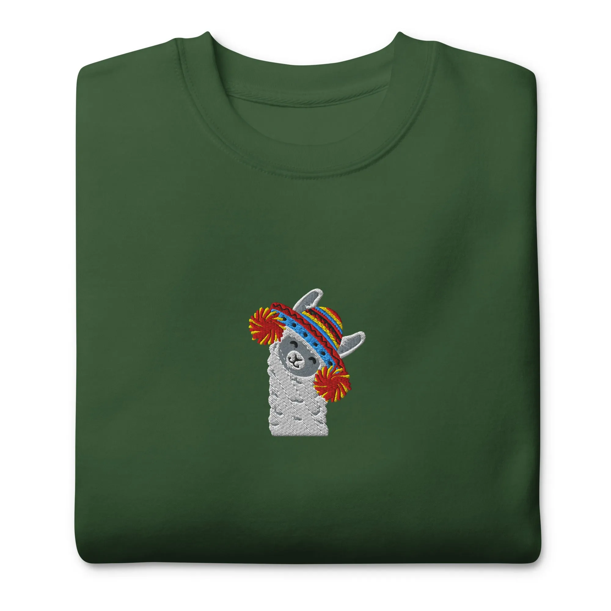 Peruvian Alpaca Embroidered Sweatshirt