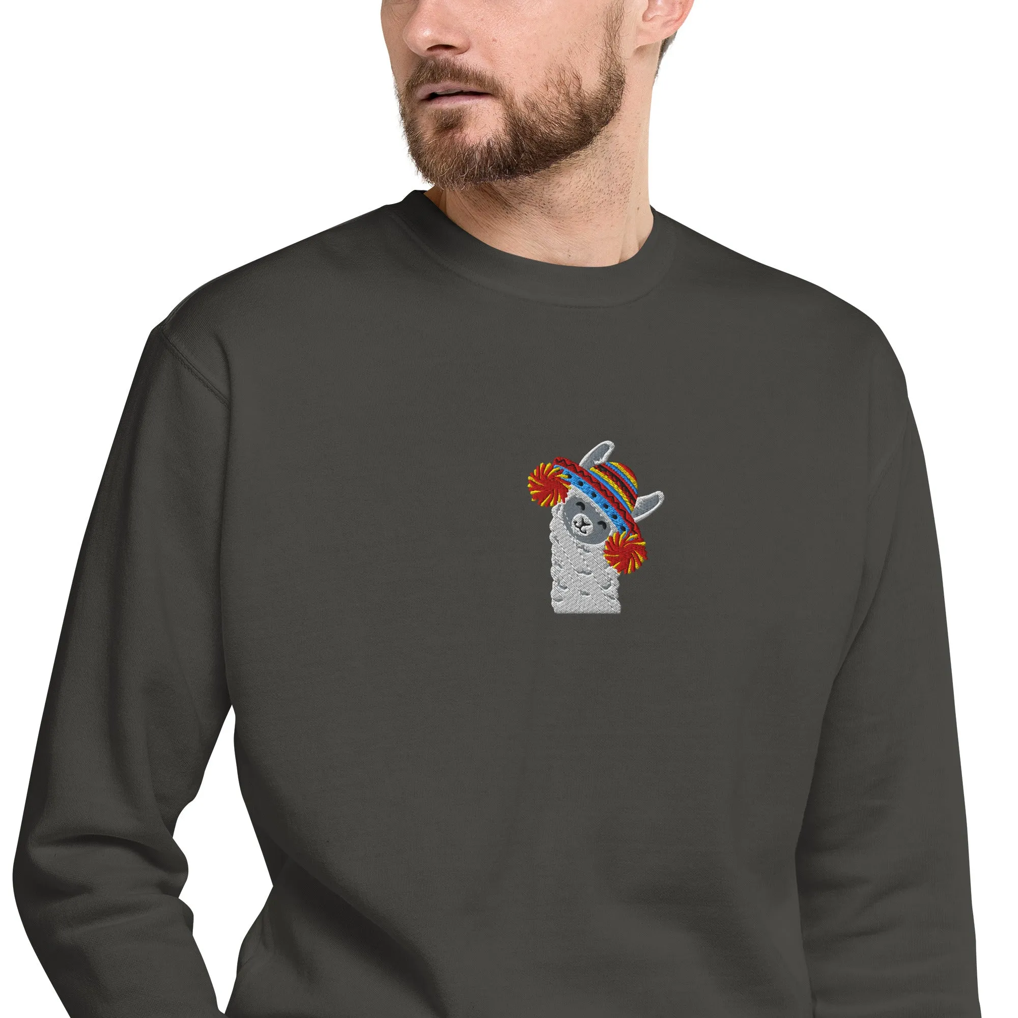Peruvian Alpaca Embroidered Sweatshirt
